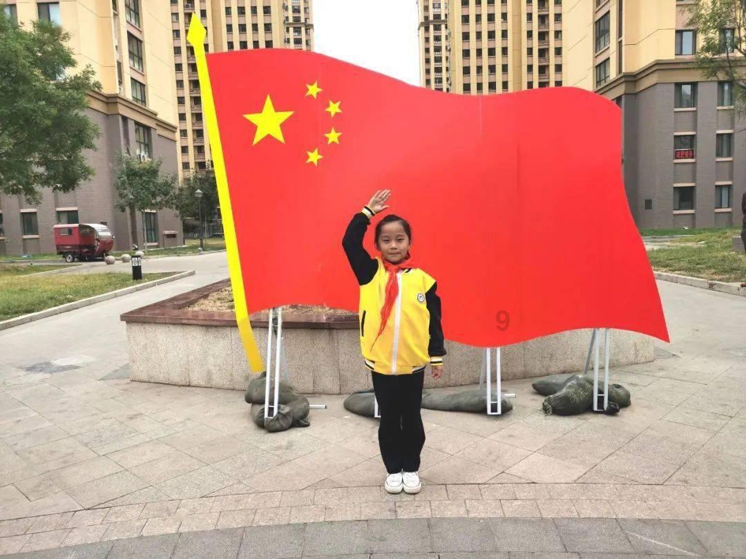 彼得比尔特379拼图